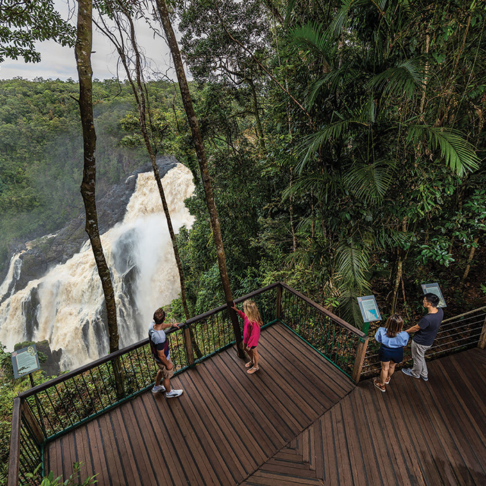 Barron-Falls---Lookout-1