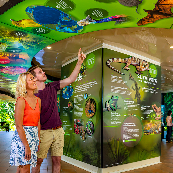 Rainforest-Discovery-Zone-Main-Image