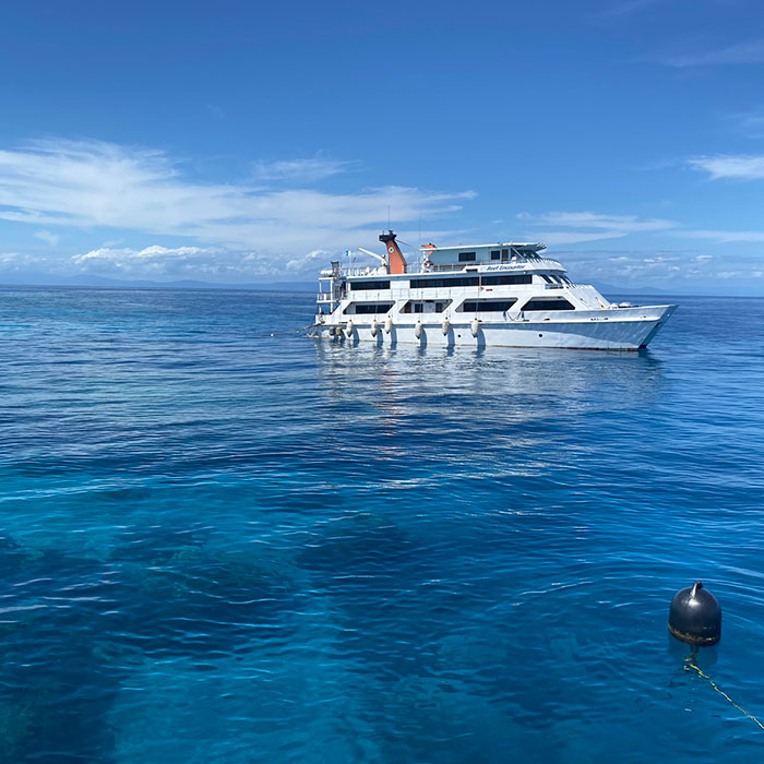 Reef-Encounter-The-Great-Barrier-Reef-2