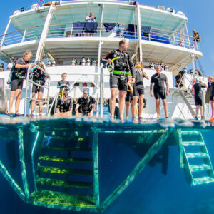 Reef Encounter Cairns Liveaboard thumbnail