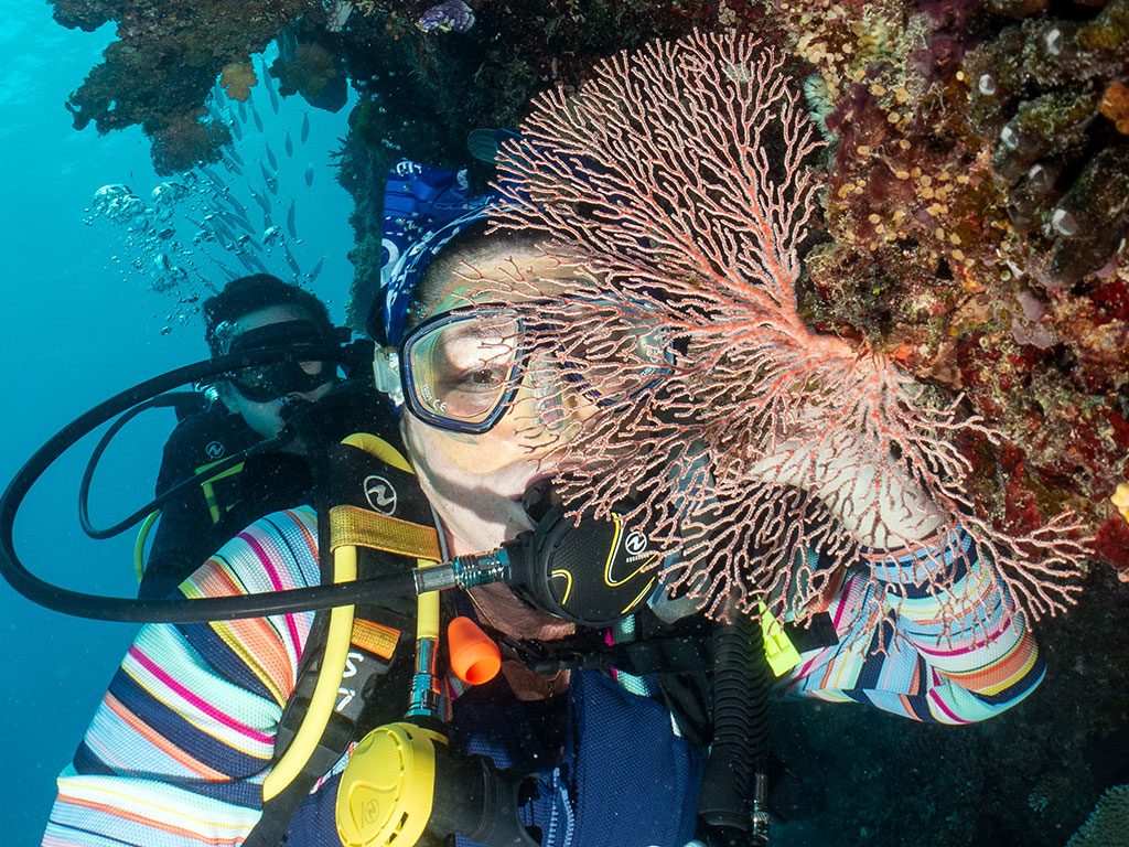 Agincourt Reef Diving