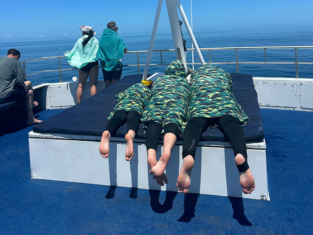 AquaQuest - Top Sundeck