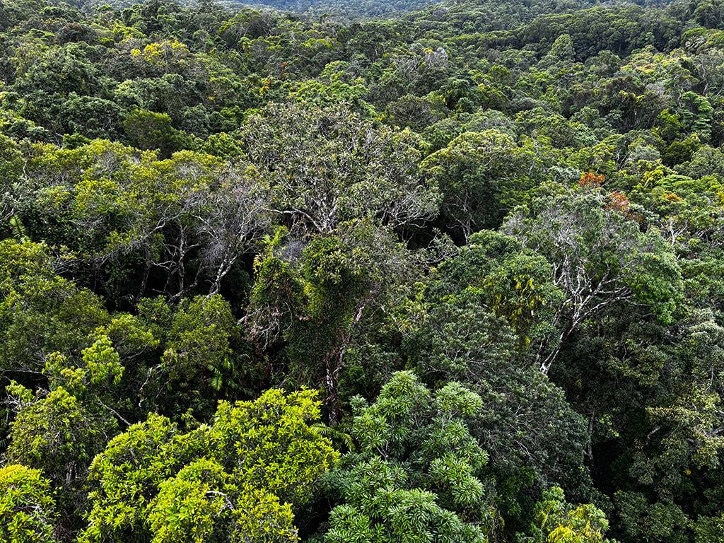 Barron Gorge National Park