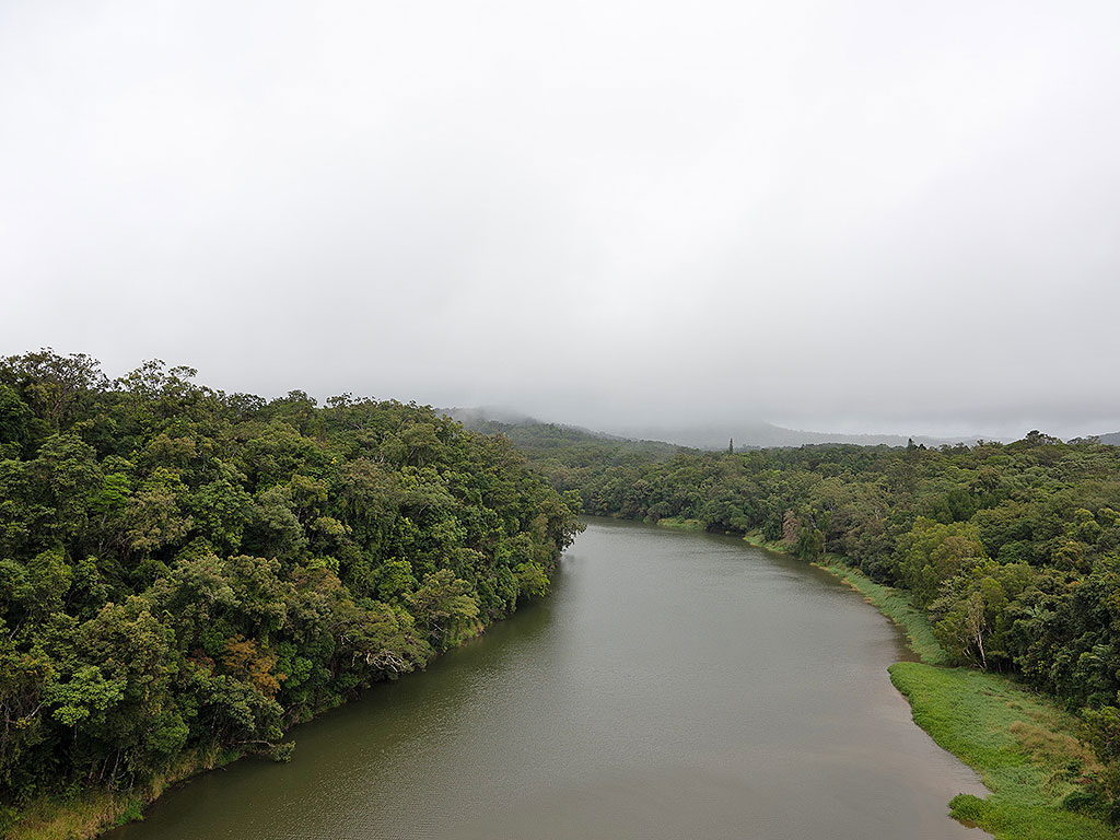 Barron River views from Skyrail