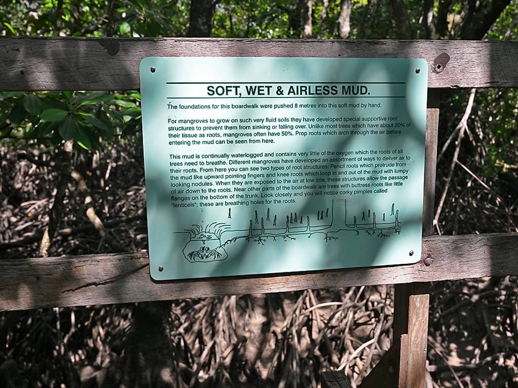 Bicentennial Mangrove Boardwalk Mud Signage