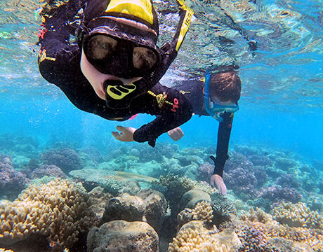 Snorkeling - Big Cat - Green Island Day Tour