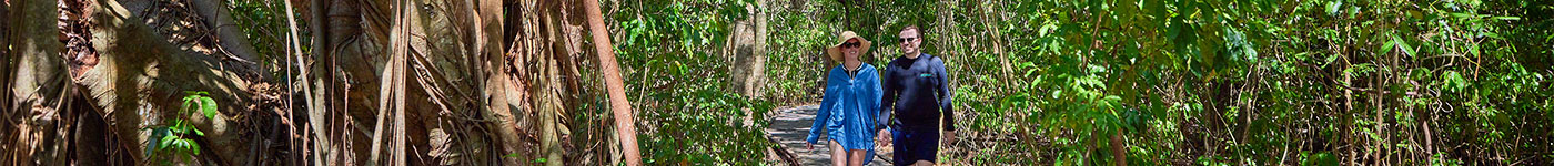 Big Cat Tour -  Eco Walk