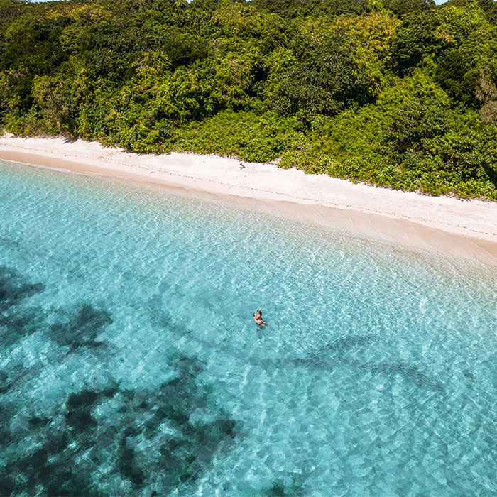 Big Cat Tour -  Island Beach