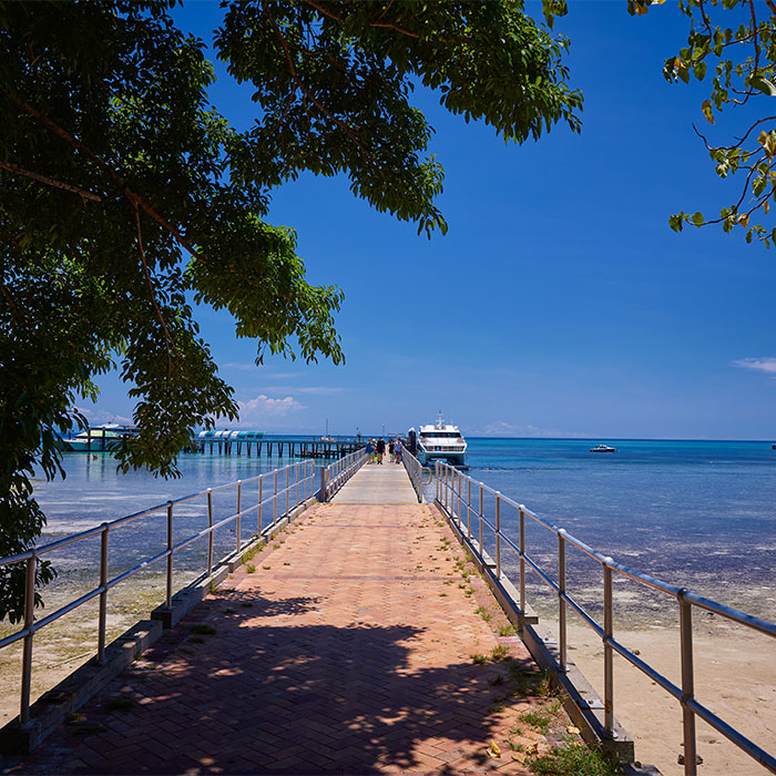 Big Cat Tour - Jetty Walk