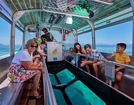 Glass Bottom Boat - Big Cat - Green Island Day Tour