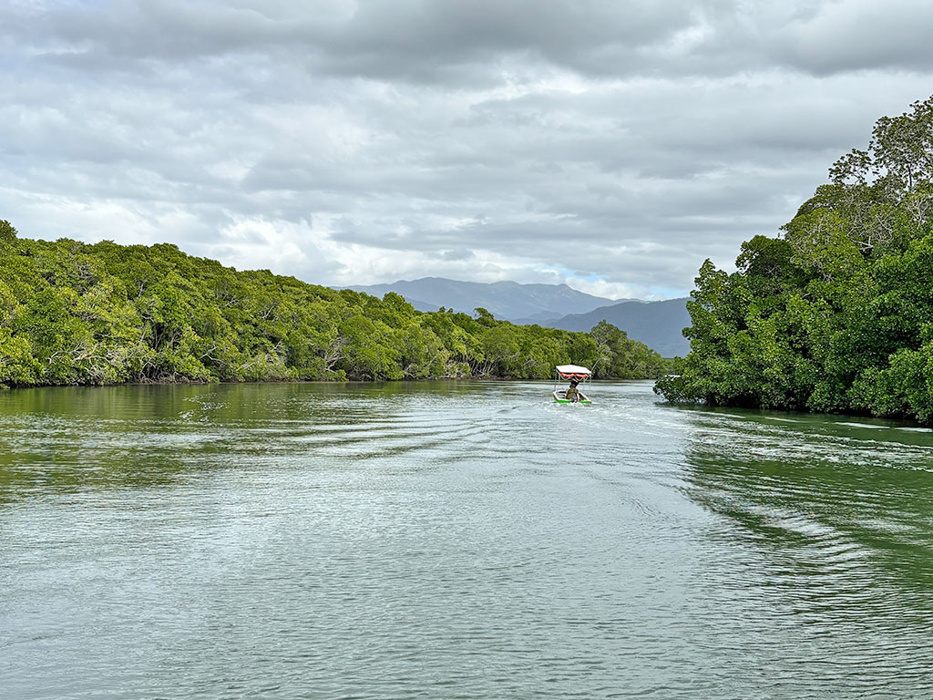 Cairns Boat Hire - Creek