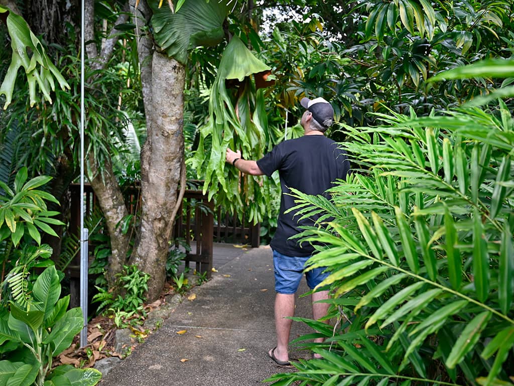 Cairns Botanic Gardens Visit