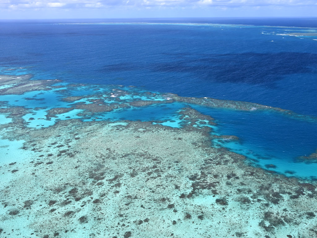 Cairns Reef Heli Tour Views