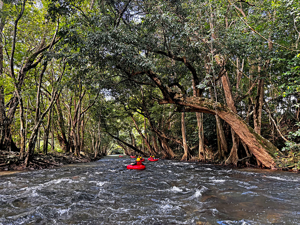 Cairns River Tubing Review - Cruising