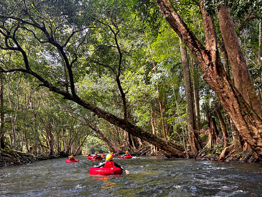 Cairns River Tubing Review - Rain Forrest
