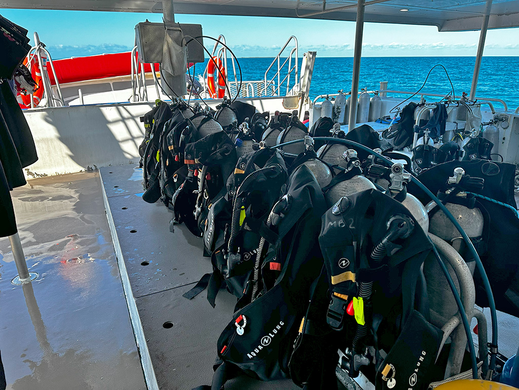 Calypso Dive Dive Gear
