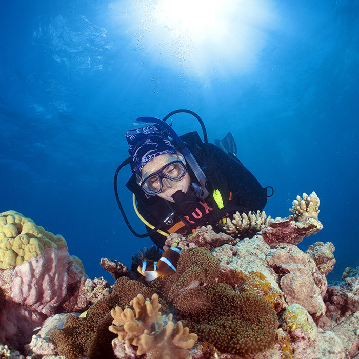 Calypso Reef Cruises Tour - Cert