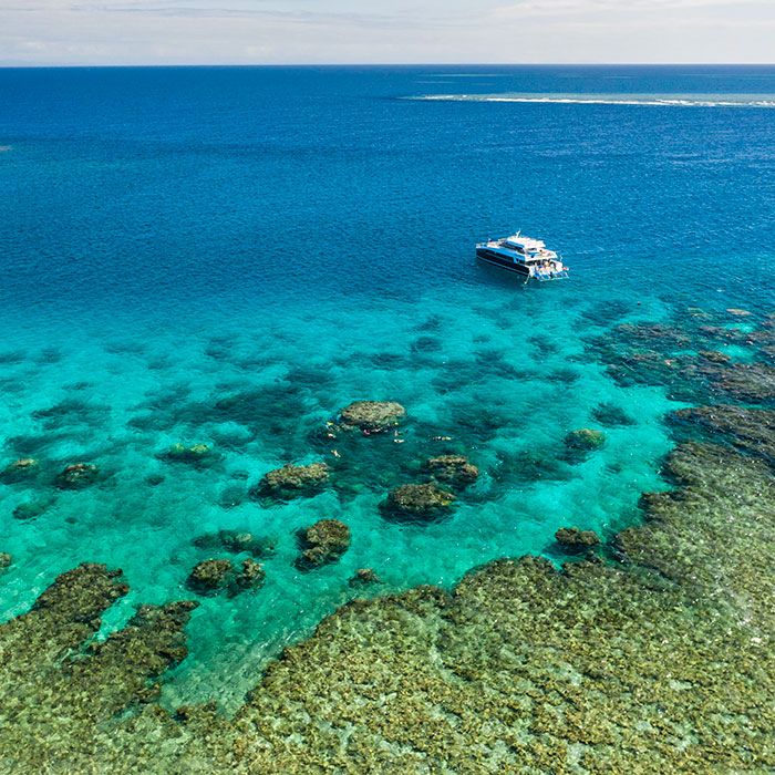Calypso Reef Cruises Tour - GBR