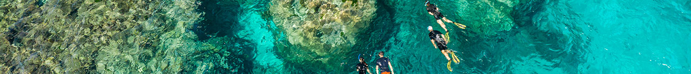 Calypso Reef Cruises  Tour - Slices