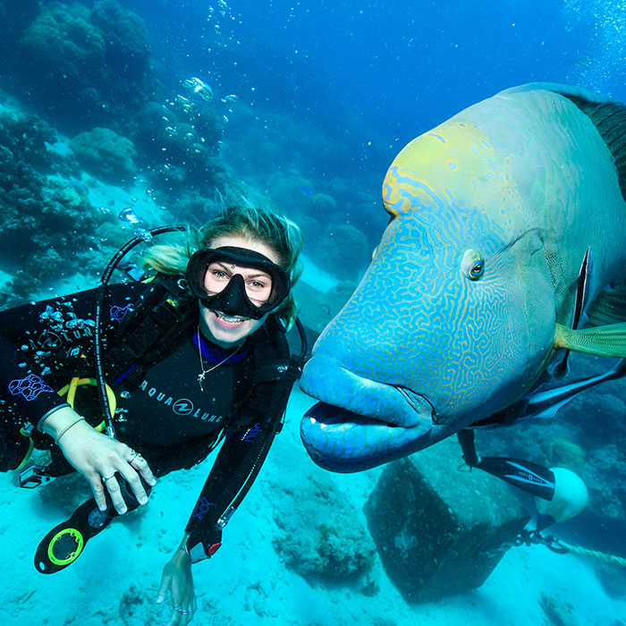 Calypso Reef Cruises Tour - Wally