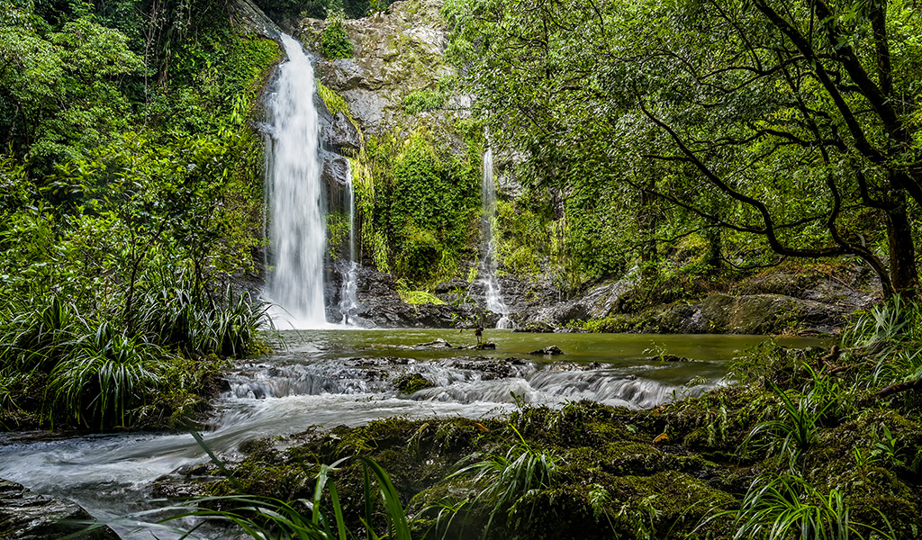 Cassowary Falls Drone Flying
