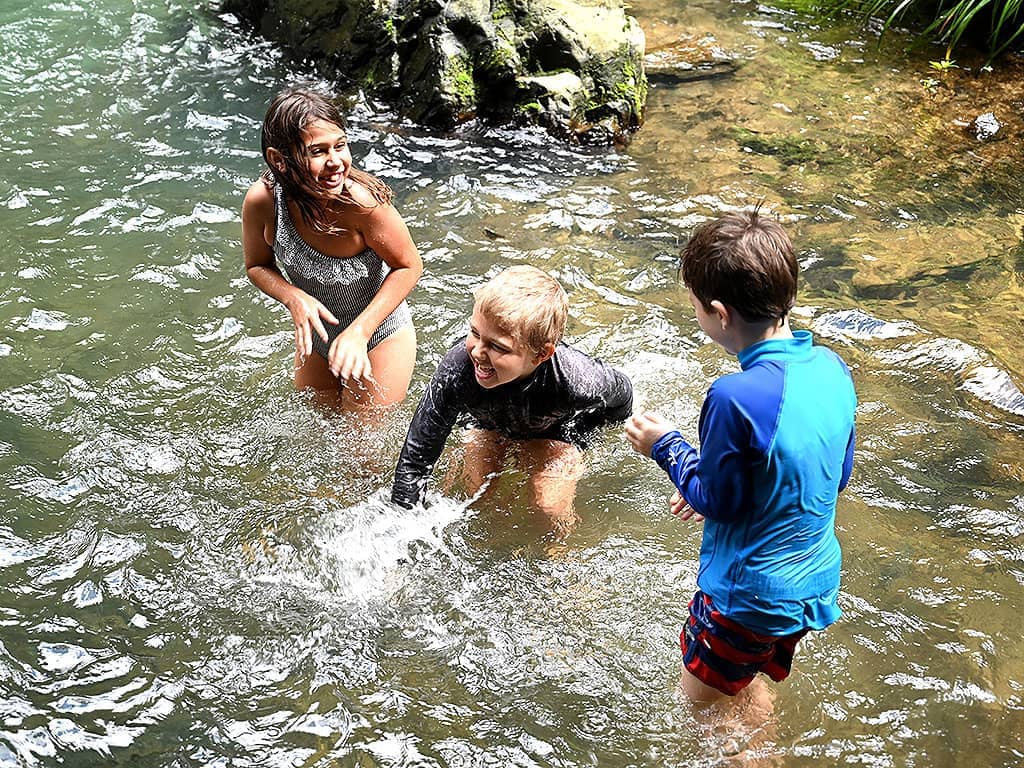 Cassowary Falls For Kids