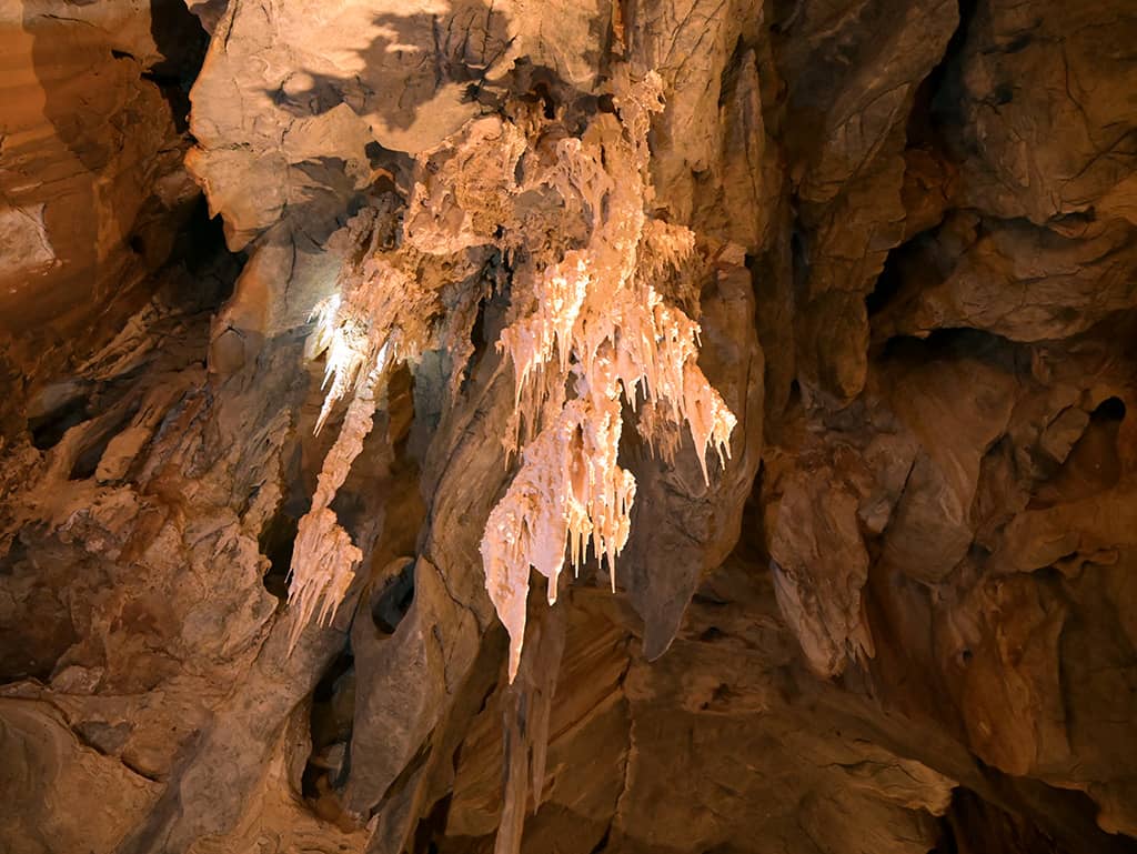 Chillagoe Caves Tour