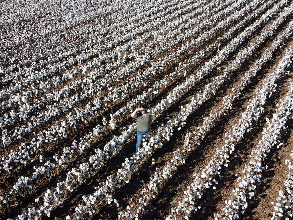 Cotton Fields Mareeba