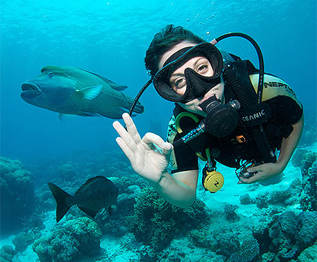 DD - Liveaboard Dive Course - Diver