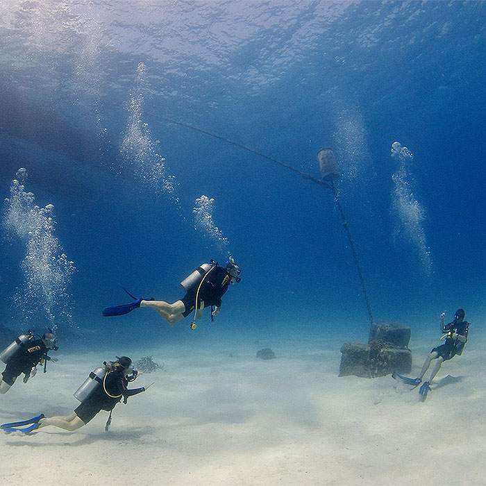 DD - Liveaboard Dive Course - Great VIS