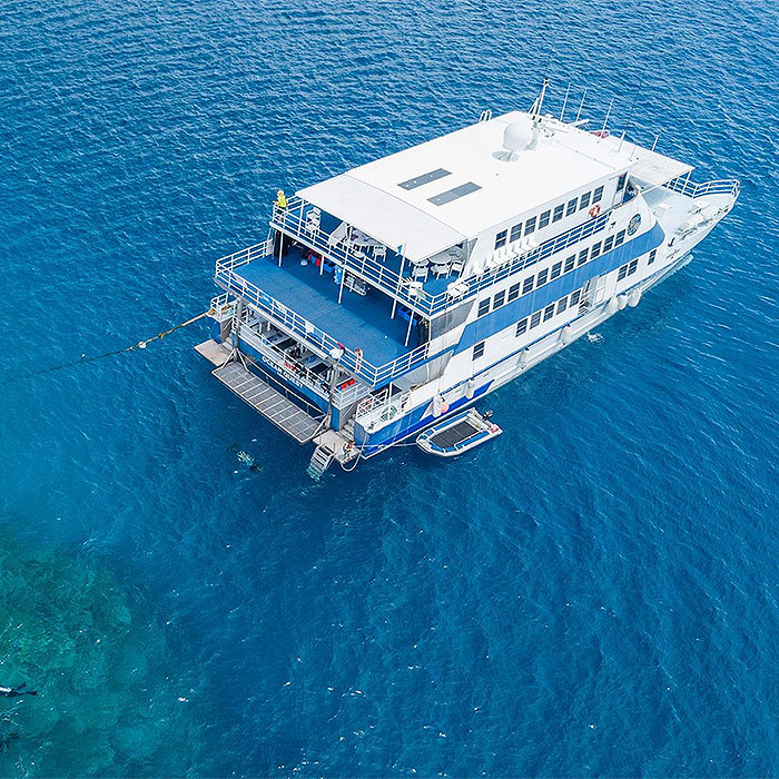 DD - Liveaboard Dive Course - OceanQuest
