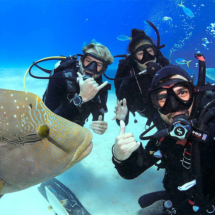 DD Open Water Course Instructor