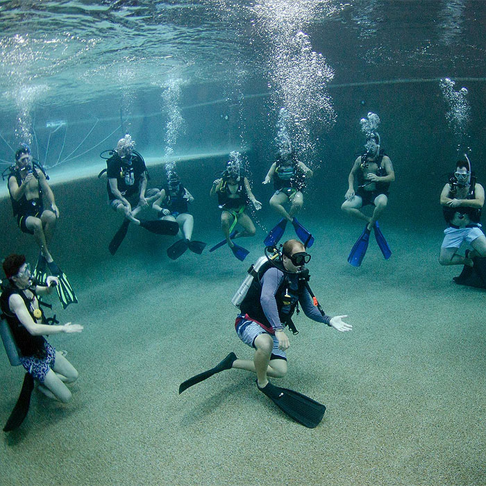 DD Open Water Course Pool Time