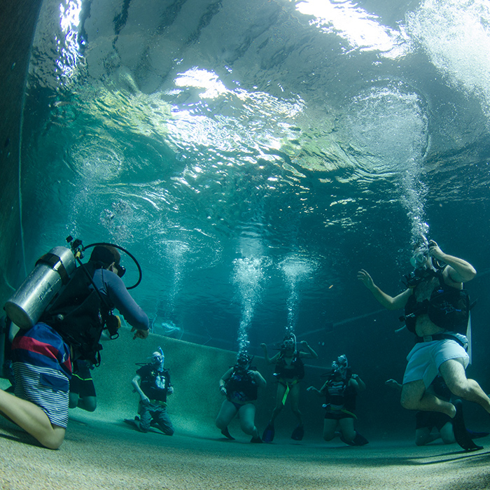 Divers Den - OW - Pool Training