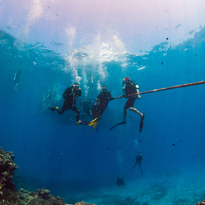 Divers Den - OW Training