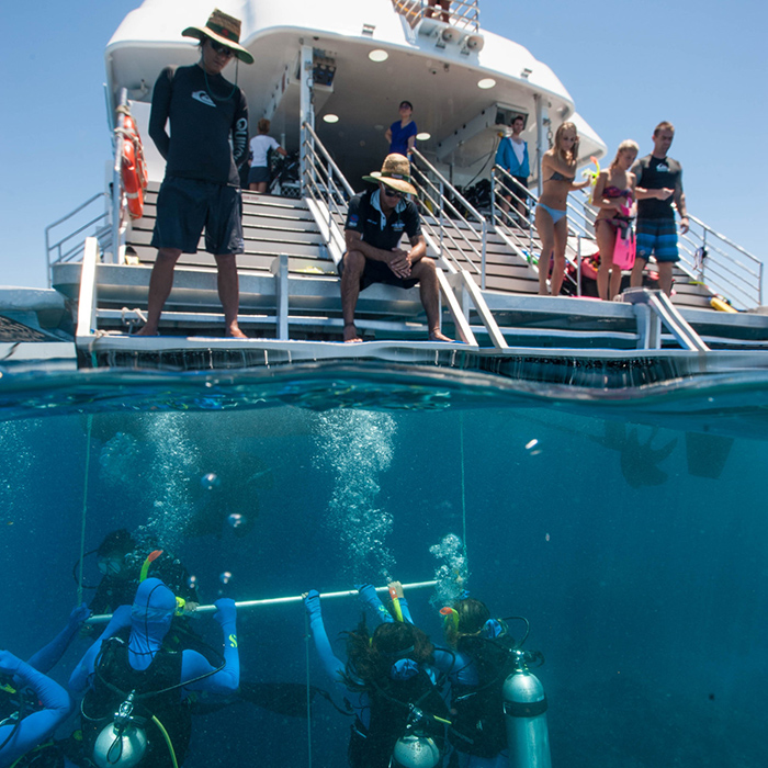 Down Under - Dive Course - Back Boat