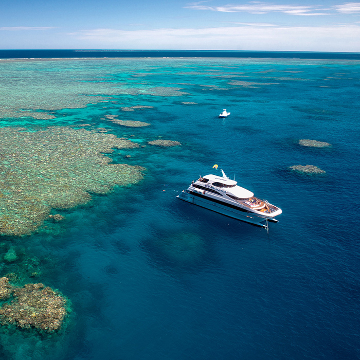Down Under - Dive Course - Evolution