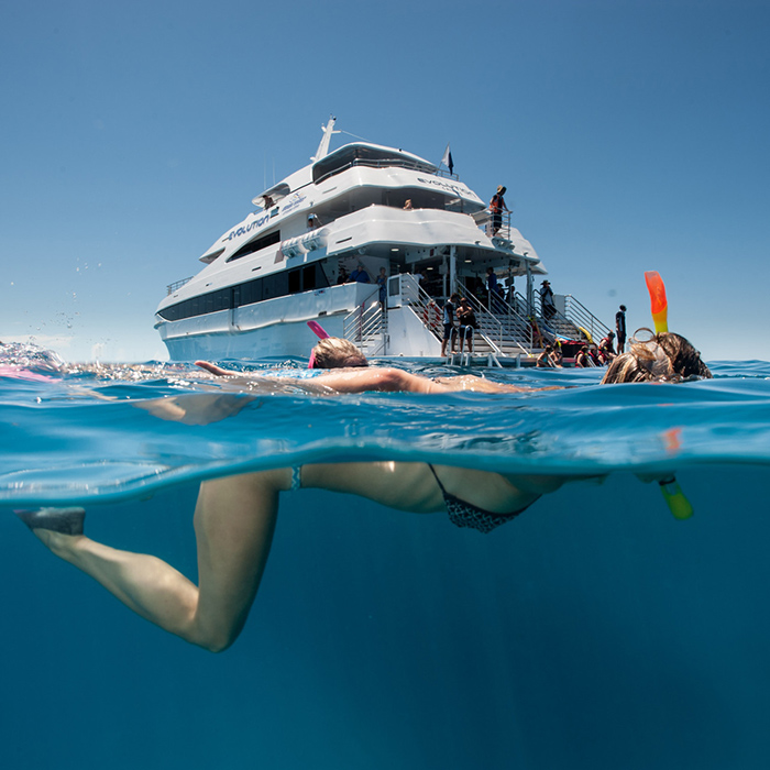 Down Under - Dive Course - Reef