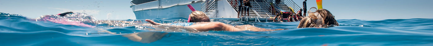 Down Under Dive - Snorkeling