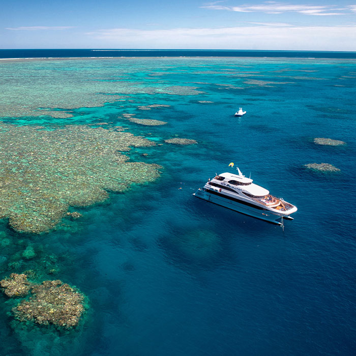 Down Under Dive Tour  - Reef