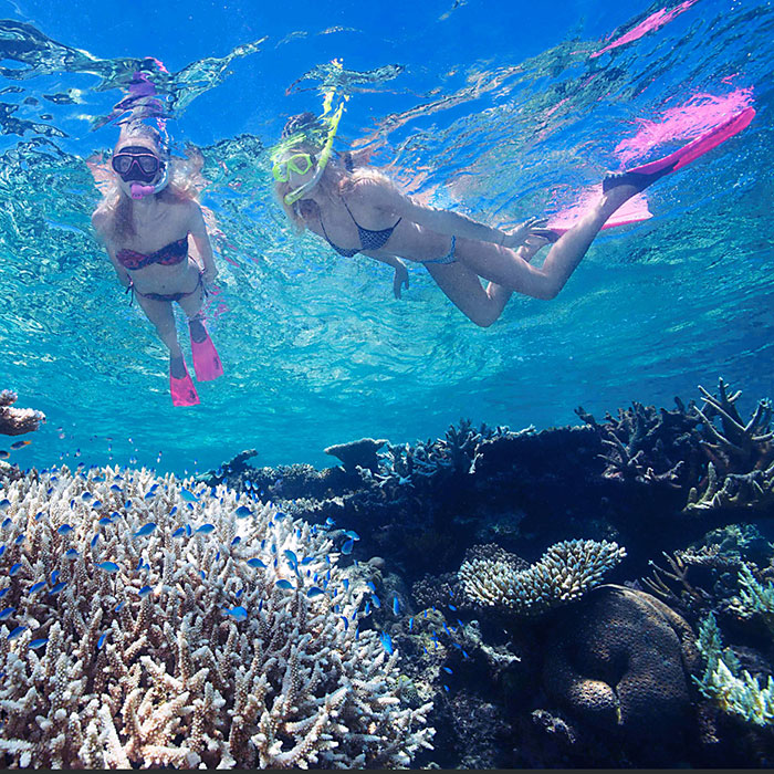 Down Under Dive Tour - Snorkel