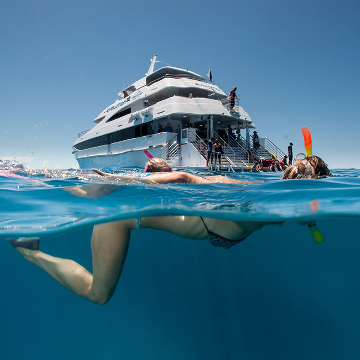 Down Under Dive Tour  - Snorkelling
