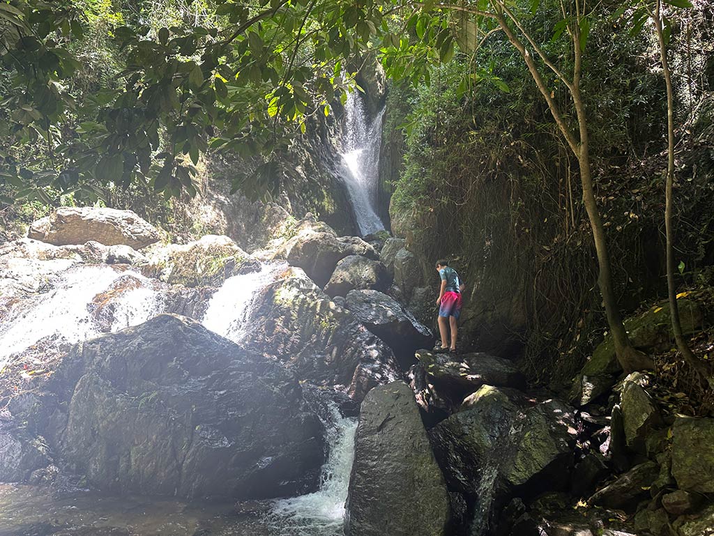 Fairy Falls - Rainforest Waterfall