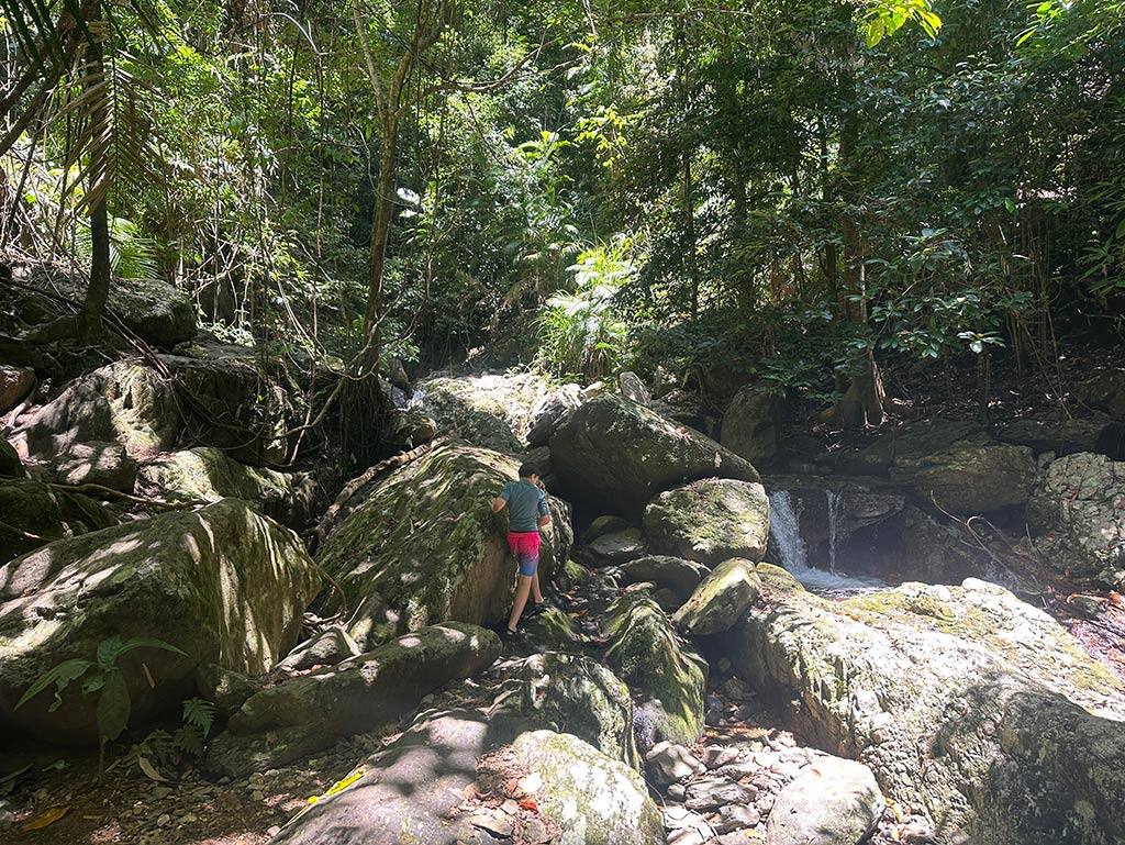 Fairy Falls - Stream