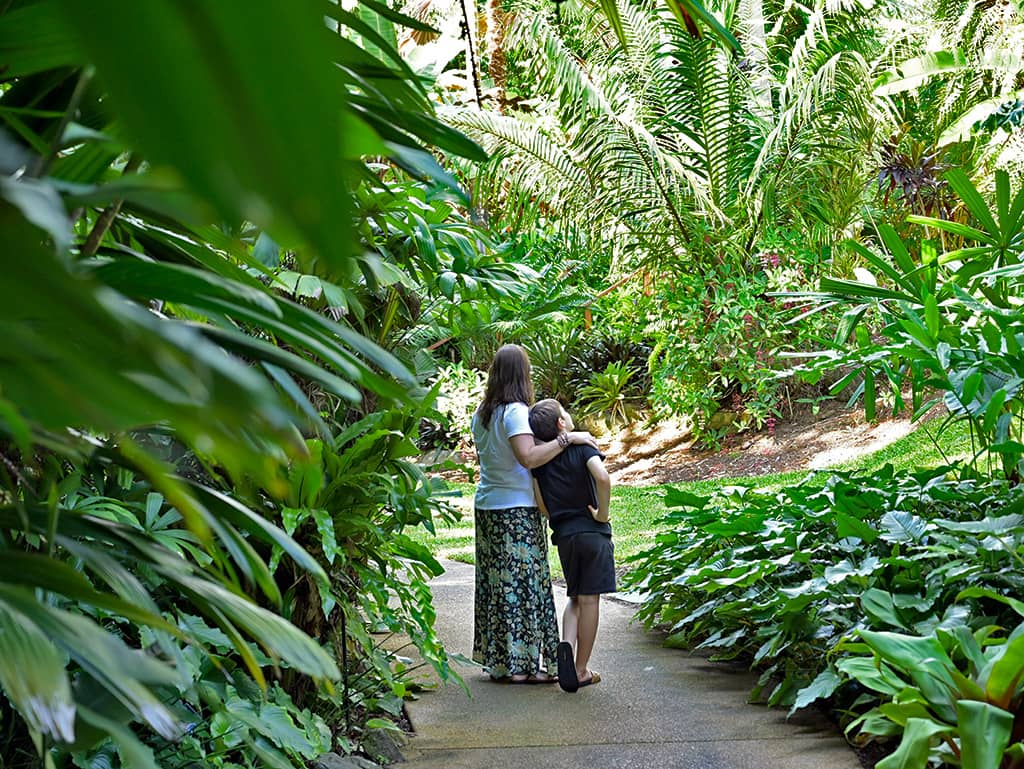 Family Cairns Botanical Gardens