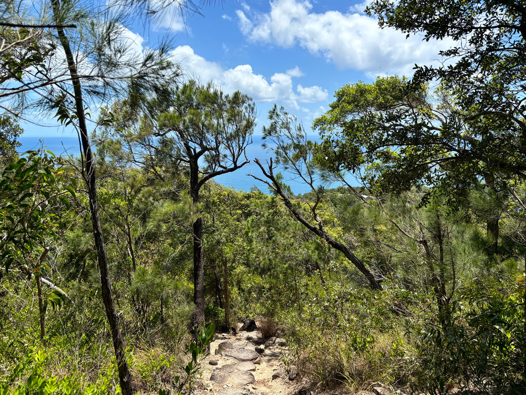 Fitzroy Island Walk - Track
