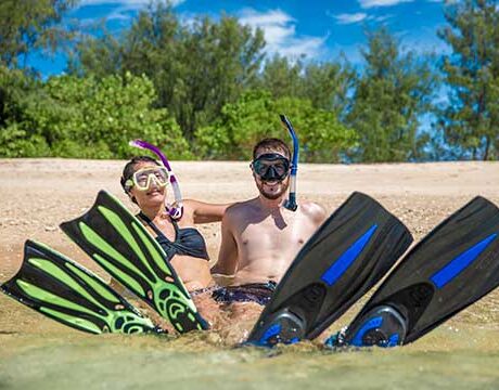 Snorkeling - Frankland Islands Reef Day Tour