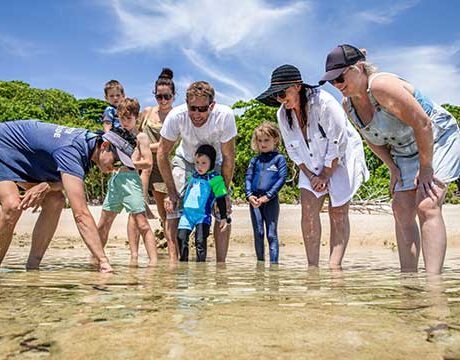 Guided Island Walk  - Frankland Islands Reef Day Tour