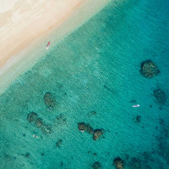 Frankland Islands Tour - Reef Walk
