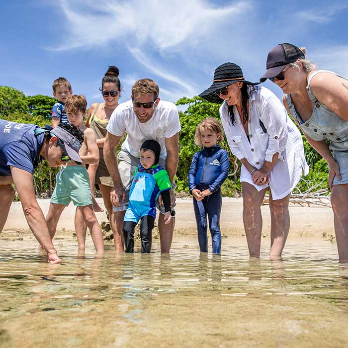 Frankland Islands Tour -